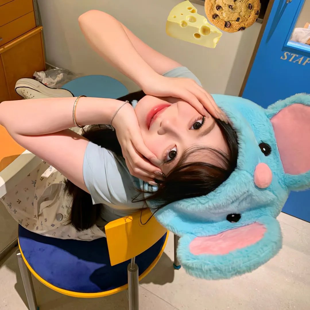 家鸭与野鸭的投币式置物柜